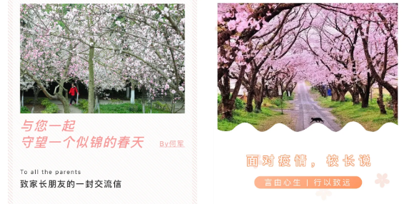 1588143623732543.png 7.png