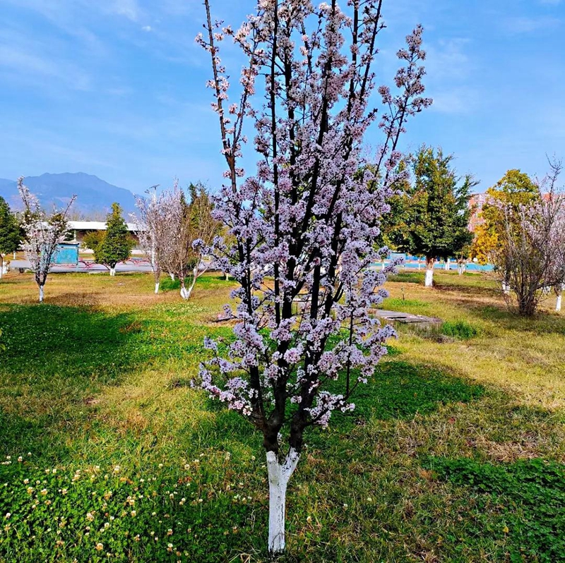 1614737318552080.jpg 14.jpg