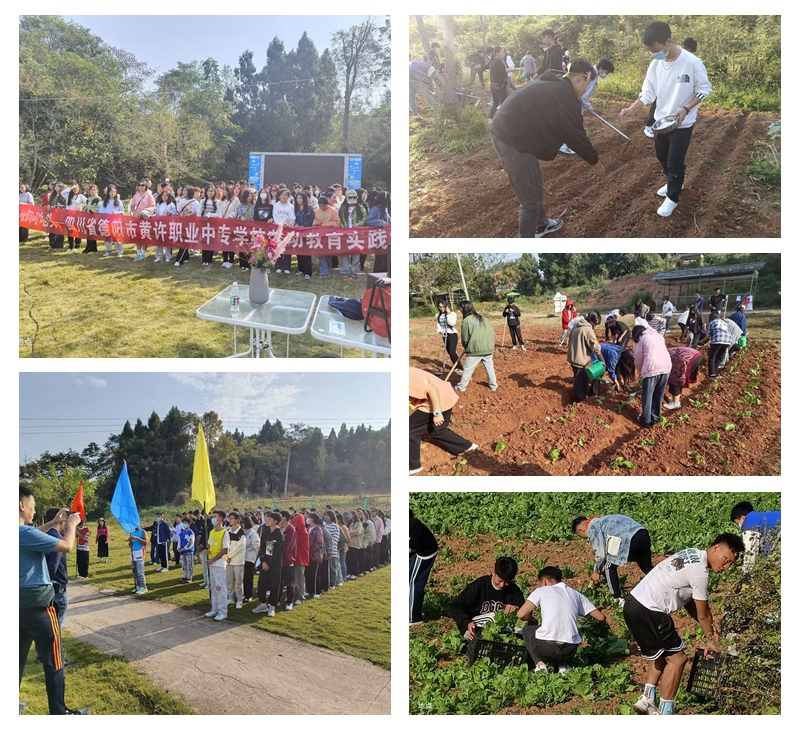 1666663228199091.jpg 黃許職中組織“9+3”學生參加勞動教育實踐活動.jpg